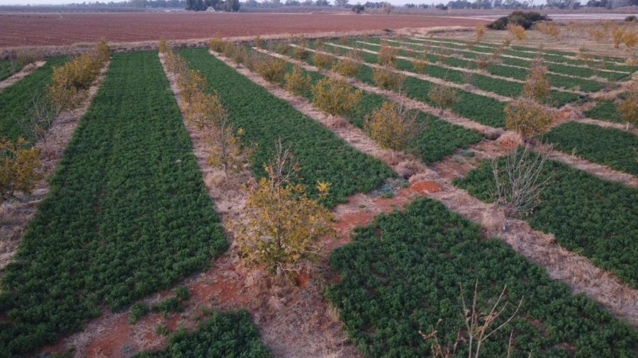  Bedroom Property for Sale in Jan Kempdorp Rural Northern Cape
